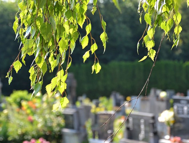 Blätter im Wind über Friedhof